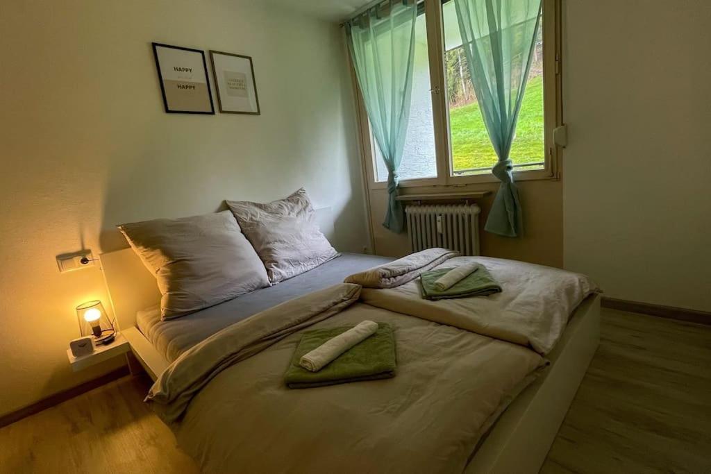 Shine Apartment Oberstaufen Kültér fotó